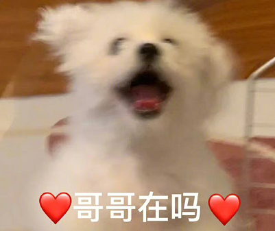 最近很火的我怎么敢恋爱系列文案 很火我不配跟你谈恋爱的搞笑语录 最近很火的我怎么敢恋爱系列文案 很火我不配跟你谈恋爱的搞笑语录
