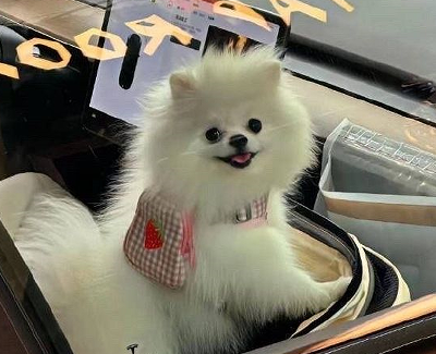 2023哄对象生气时的服软小情话 快速哄好女朋友的文案 2023哄对象生气时的服软小情话 快速哄好女朋友的文案