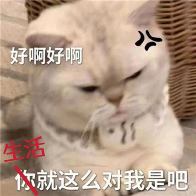 很受人喜欢的表情最新 为什么人要起床哇
