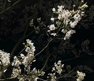 后妈难当的伤感句子 后妈难当的感慨说说 后妈难当的伤感句子 后妈难当的感慨说说