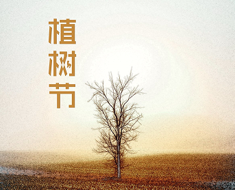 最新版植树节配图文案 2023植树节创意的句子 最新版植树节配图文案 2023植树节创意的句子