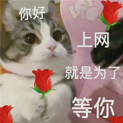 好玩的丫头文学表情包 丫头眼神是不会骗人的