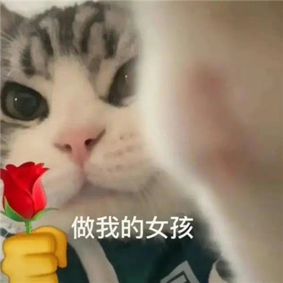 好玩的丫头文学表情包 丫头眼神是不会骗人的