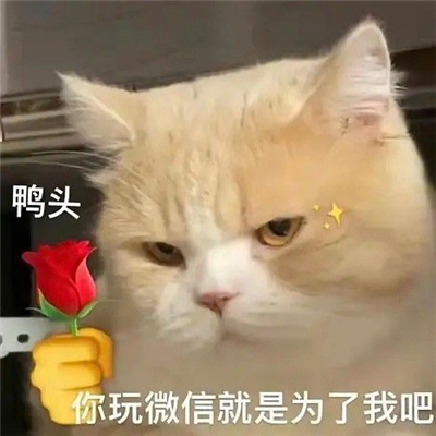 好玩的丫头文学表情包 丫头眼神是不会骗人的