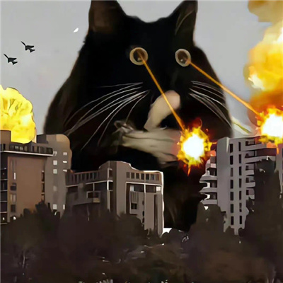 005SPgregy1hbnvw1fml9j30u00u0q74.jpg