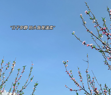 善良有涵养的个性签名 简单真实善良个性签名 善良有涵养的个性签名 简单真实善良个性签名
