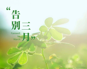 2023三月再见四月你好心情说说 四月到来了的正能量句子 2023三月再见四月你好心情说说 四月到来了的正能量句子