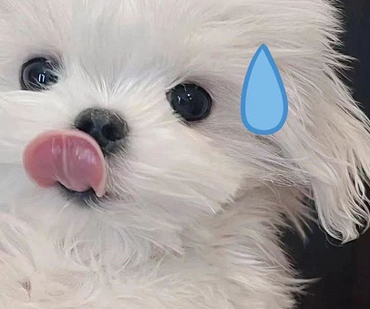 带给我们超多快乐幽默网名 亚洲表情包传播大使 带给我们超多快乐幽默网名 亚洲表情包传播大使