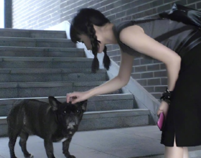 宝藏女孩的vlog神仙标题 宝藏女孩专属可爱文案 宝藏女孩的vlog神仙标题 宝藏女孩专属可爱文案