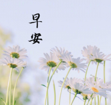 精致的早安文案给自己正能量 读完元气满满的早安语录 精致的早安文案给自己正能量 读完元气满满的早安语录