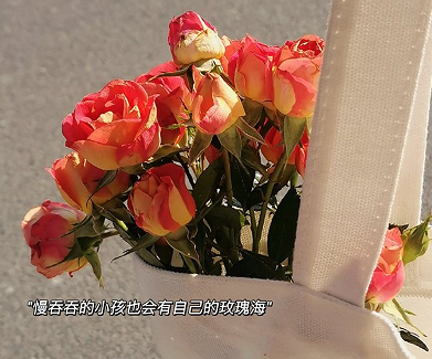 初恋很美好也很短暂的说说 关于初恋的美好语录 初恋很美好也很短暂的说说 关于初恋的美好语录
