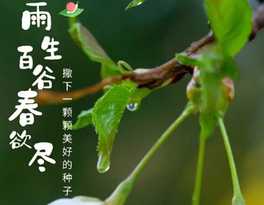 2023谷雨节气的祝福语说说 谷雨节气发朋友圈的短句 2023谷雨节气的祝福语说说 谷雨节气发朋友圈的短句