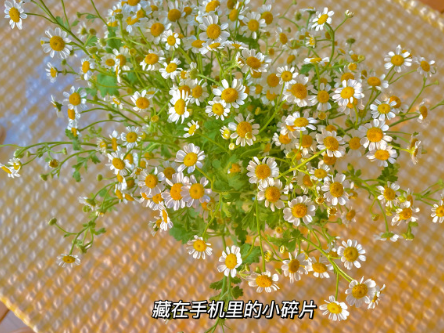 王者荣耀御姐网名 王者女生id大全御姐 王者荣耀御姐网名 王者女生id大全御姐