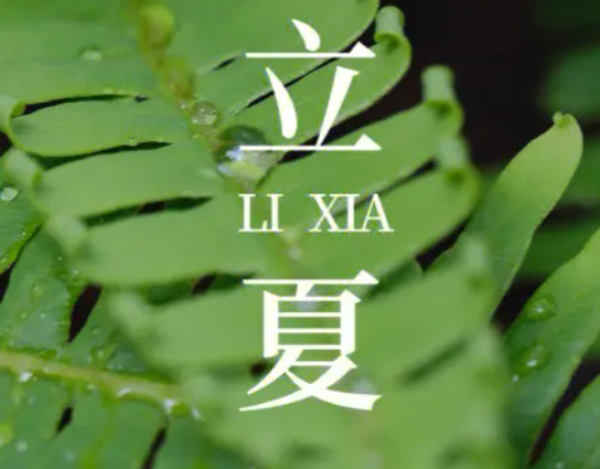 2023立夏节气唯美心情说说 立夏快乐的朋友圈短句 2023立夏节气唯美心情说说 立夏快乐的朋友圈短句