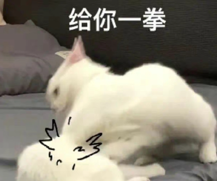 二阳了发朋友圈文案 二次阳发朋友圈搞笑说说 二阳了发朋友圈文案 二次阳发朋友圈搞笑说说