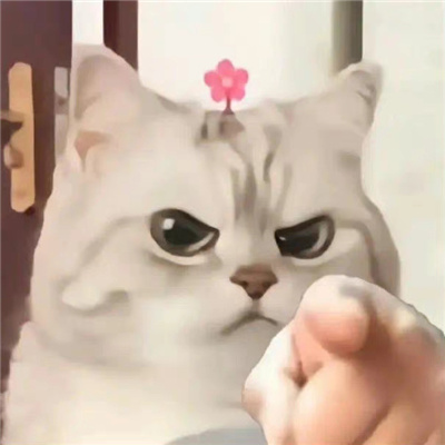 a007f1e0gy1h6j49pczobj20gu0h93yk.jpg