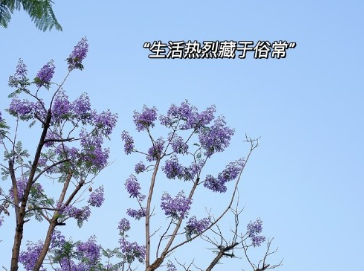 努力提升自己变优秀的说说 不断提升自己才能越来越优秀的说说 努力提升自己变优秀的说说 不断提升自己才能越来越优秀的说说