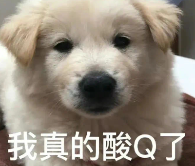 别具一格的动物奇妙id 含有动物的可爱网名 别具一格的动物奇妙id 含有动物的可爱网名
