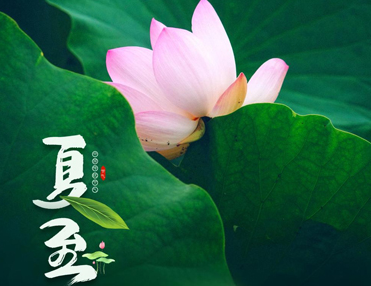 2023夏至节日祝福语简短 夏至到来一句唯美说说 2023夏至节日祝福语简短 夏至到来一句唯美说说