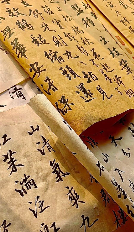 2023高质量的壁纸好看高级感 我的消极永远积极