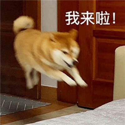 2023微信聊天表情合集 面壁思过