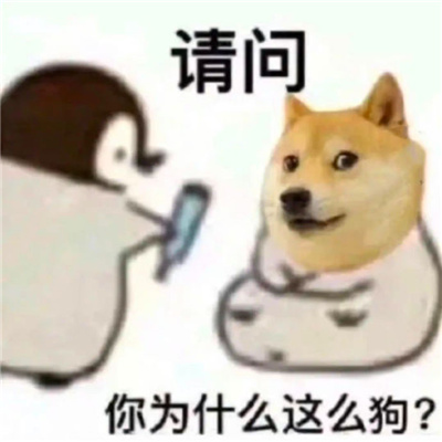 跟对象日常聊天用的表情 老婆我想拉屎