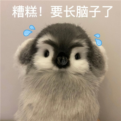 高清版无水印的有趣聊天表情 各种套路聊天的表情