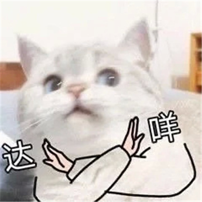 你值得拥有的快乐表情包 值得收藏的优秀表情
