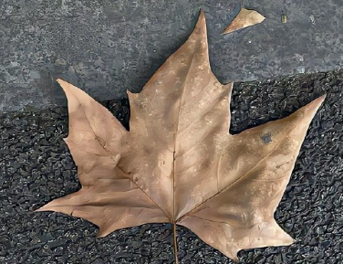 一手好牌打得稀烂的说说 一手好牌被自己打烂了说说 一手好牌打得稀烂的说说 一手好牌被自己打烂了说说