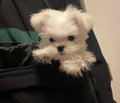 想发就发的日常简约杂系文案 今日份生活碎片短句 想发就发的日常简约杂系文案 今日份生活碎片短句
