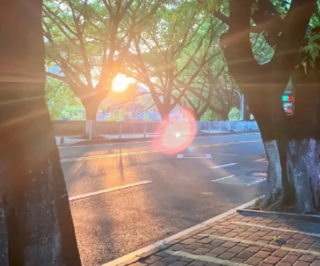 阳光给自己带来好心情的说说 阳光甚好的唯美短句 阳光给自己带来好心情的说说 阳光甚好的唯美短句