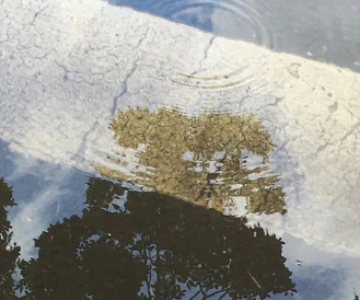 话里有话的朋友圈说说 话里有话的高级文案 话里有话的朋友圈说说 话里有话的高级文案