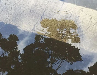反省自己太冲动的说说 一时冲动后悔的说说 反省自己太冲动的说说 一时冲动后悔的说说