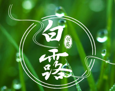 2023白露节日朋友圈祝福语 关于白露节气的唯美短句 2023白露节日朋友圈祝福语 关于白露节气的唯美短句