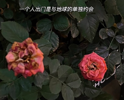最近过的好累的签名 对任何事情都随缘的签名 最近过的好累的签名 对任何事情都随缘的签名