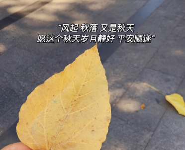 结束出差回家的心情说说 终于回到家了开心短句 结束出差回家的心情说说 终于回到家了开心短句