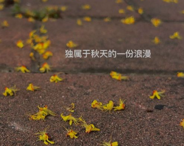 惊艳小众的秋季签名唯美 句句仙气喜欢秋季的签名 惊艳小众的秋季签名唯美 句句仙气喜欢秋季的签名