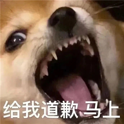 热门让人逐渐上头表情大赏 能让你笑很久的表情