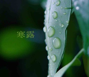 2023寒露节气朋友圈唯美说说 寒露文案节气简短 2023寒露节气朋友圈唯美说说 寒露文案节气简短