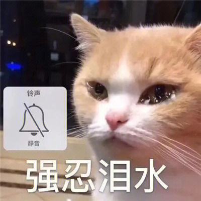 每张都是很开心的表情大全 有什么是我vip不能看的吗表情