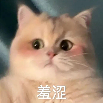 2024高情商敷衍系列好用表情 高情商的幽默表情