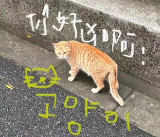 2024超拽签名最新版帅到掉渣 很傲娇的拽拽签名 2024超拽签名最新版帅到掉渣 很傲娇的拽拽签名
