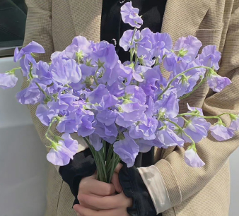 旺自己的文案短句 给自己加油打气的文案 旺自己的文案短句 给自己加油打气的文案
