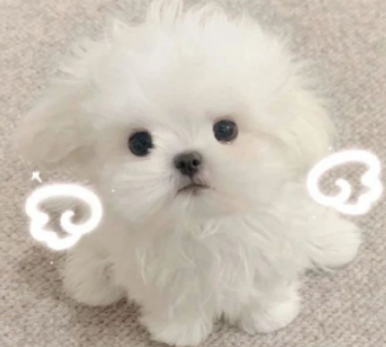 超nice的小众个性签名 会用来当签名的小短句 超nice的小众个性签名 会用来当签名的小短句