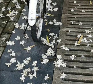 花式搞怪炫饭吃货文案 吃货朋友圈幽默文案 花式搞怪炫饭吃货文案 吃货朋友圈幽默文案