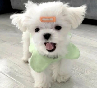 遇到渣男后的坚强说说 离开渣男后过得更好的说说 遇到渣男后的坚强说说 离开渣男后过得更好的说说