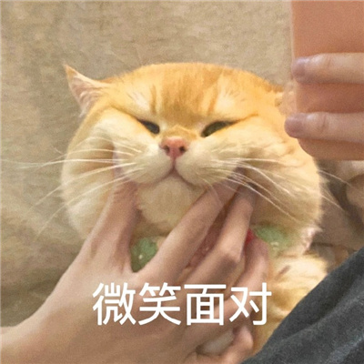 表情很好用让人心情愉悦 请问你很牛吗