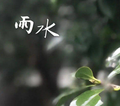 2024雨水节气短句很唯美 雨水节气优美文案 2024雨水节气短句很唯美 雨水节气优美文案