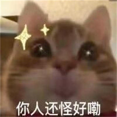 会让你笑到抽搐的表情 看一眼就会存图表情大全