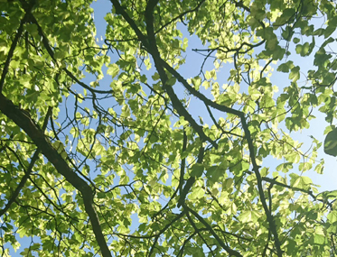 把人刀死的离家文案带图片 一场热闹了七天的梦结束了 把人刀死的离家文案带图片 一场热闹了七天的梦结束了